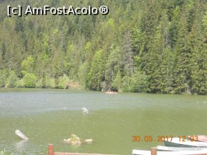 [P17] unii au pornit cu barca pe lac » foto by zlatna
 - 
<span class="allrVoted glyphicon glyphicon-heart hidden" id="av902675"></span>
<a class="m-l-10 hidden" id="sv902675" onclick="voting_Foto_DelVot(,902675,3314)" role="button">șterge vot <span class="glyphicon glyphicon-remove"></span></a>
<a id="v9902675" class=" c-red"  onclick="voting_Foto_SetVot(902675)" role="button"><span class="glyphicon glyphicon-heart-empty"></span> <b>LIKE</b> = Votează poza</a> <img class="hidden"  id="f902675W9" src="/imagini/loader.gif" border="0" /><span class="AjErrMes hidden" id="e902675ErM"></span>