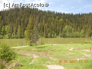 [P05] a apărut lacul în vizorul nostru » foto by zlatna
 - 
<span class="allrVoted glyphicon glyphicon-heart hidden" id="av902653"></span>
<a class="m-l-10 hidden" id="sv902653" onclick="voting_Foto_DelVot(,902653,3314)" role="button">șterge vot <span class="glyphicon glyphicon-remove"></span></a>
<a id="v9902653" class=" c-red"  onclick="voting_Foto_SetVot(902653)" role="button"><span class="glyphicon glyphicon-heart-empty"></span> <b>LIKE</b> = Votează poza</a> <img class="hidden"  id="f902653W9" src="/imagini/loader.gif" border="0" /><span class="AjErrMes hidden" id="e902653ErM"></span>