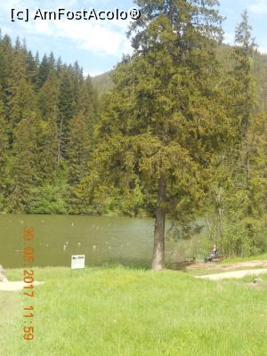 [P09] în lac sunt numeroase cioturi » foto by zlatna
 - 
<span class="allrVoted glyphicon glyphicon-heart hidden" id="av902665"></span>
<a class="m-l-10 hidden" id="sv902665" onclick="voting_Foto_DelVot(,902665,3314)" role="button">șterge vot <span class="glyphicon glyphicon-remove"></span></a>
<a id="v9902665" class=" c-red"  onclick="voting_Foto_SetVot(902665)" role="button"><span class="glyphicon glyphicon-heart-empty"></span> <b>LIKE</b> = Votează poza</a> <img class="hidden"  id="f902665W9" src="/imagini/loader.gif" border="0" /><span class="AjErrMes hidden" id="e902665ErM"></span>