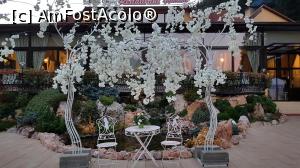 [P12] Loc pentru cafeaua celor doi miri » foto by DOINITA
 - 
<span class="allrVoted glyphicon glyphicon-heart hidden" id="av1046346"></span>
<a class="m-l-10 hidden" id="sv1046346" onclick="voting_Foto_DelVot(,1046346,3314)" role="button">șterge vot <span class="glyphicon glyphicon-remove"></span></a>
<a id="v91046346" class=" c-red"  onclick="voting_Foto_SetVot(1046346)" role="button"><span class="glyphicon glyphicon-heart-empty"></span> <b>LIKE</b> = Votează poza</a> <img class="hidden"  id="f1046346W9" src="/imagini/loader.gif" border="0" /><span class="AjErrMes hidden" id="e1046346ErM"></span>