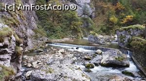 [P36] Raul Bicaz inca isi croieste drumul » foto by DOINITA
 - 
<span class="allrVoted glyphicon glyphicon-heart hidden" id="av1046370"></span>
<a class="m-l-10 hidden" id="sv1046370" onclick="voting_Foto_DelVot(,1046370,3314)" role="button">șterge vot <span class="glyphicon glyphicon-remove"></span></a>
<a id="v91046370" class=" c-red"  onclick="voting_Foto_SetVot(1046370)" role="button"><span class="glyphicon glyphicon-heart-empty"></span> <b>LIKE</b> = Votează poza</a> <img class="hidden"  id="f1046370W9" src="/imagini/loader.gif" border="0" /><span class="AjErrMes hidden" id="e1046370ErM"></span>