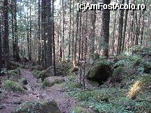 [P07] Si drumul de intoarcere prin bolovani, spre Tusnad » foto by ileanaxperta*
 - 
<span class="allrVoted glyphicon glyphicon-heart hidden" id="av26754"></span>
<a class="m-l-10 hidden" id="sv26754" onclick="voting_Foto_DelVot(,26754,3314)" role="button">șterge vot <span class="glyphicon glyphicon-remove"></span></a>
<a id="v926754" class=" c-red"  onclick="voting_Foto_SetVot(26754)" role="button"><span class="glyphicon glyphicon-heart-empty"></span> <b>LIKE</b> = Votează poza</a> <img class="hidden"  id="f26754W9" src="/imagini/loader.gif" border="0" /><span class="AjErrMes hidden" id="e26754ErM"></span>