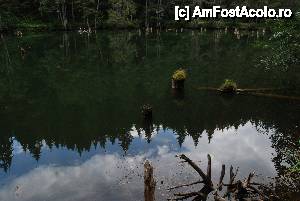 [P06] Lacul Rosu » foto by Chloe
 - 
<span class="allrVoted glyphicon glyphicon-heart hidden" id="av454164"></span>
<a class="m-l-10 hidden" id="sv454164" onclick="voting_Foto_DelVot(,454164,3314)" role="button">șterge vot <span class="glyphicon glyphicon-remove"></span></a>
<a id="v9454164" class=" c-red"  onclick="voting_Foto_SetVot(454164)" role="button"><span class="glyphicon glyphicon-heart-empty"></span> <b>LIKE</b> = Votează poza</a> <img class="hidden"  id="f454164W9" src="/imagini/loader.gif" border="0" /><span class="AjErrMes hidden" id="e454164ErM"></span>