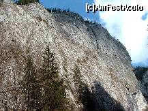 [P13] Un perete vertical, excelent pentru escalade montane » foto by dorgo
 - 
<span class="allrVoted glyphicon glyphicon-heart hidden" id="av201723"></span>
<a class="m-l-10 hidden" id="sv201723" onclick="voting_Foto_DelVot(,201723,3314)" role="button">șterge vot <span class="glyphicon glyphicon-remove"></span></a>
<a id="v9201723" class=" c-red"  onclick="voting_Foto_SetVot(201723)" role="button"><span class="glyphicon glyphicon-heart-empty"></span> <b>LIKE</b> = Votează poza</a> <img class="hidden"  id="f201723W9" src="/imagini/loader.gif" border="0" /><span class="AjErrMes hidden" id="e201723ErM"></span>
