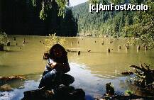 [P04] Nu numai arborii fosilizati dar si padurile de brad, se pare ca rasar din lac » foto by dorgo
 - 
<span class="allrVoted glyphicon glyphicon-heart hidden" id="av201714"></span>
<a class="m-l-10 hidden" id="sv201714" onclick="voting_Foto_DelVot(,201714,3314)" role="button">șterge vot <span class="glyphicon glyphicon-remove"></span></a>
<a id="v9201714" class=" c-red"  onclick="voting_Foto_SetVot(201714)" role="button"><span class="glyphicon glyphicon-heart-empty"></span> <b>LIKE</b> = Votează poza</a> <img class="hidden"  id="f201714W9" src="/imagini/loader.gif" border="0" /><span class="AjErrMes hidden" id="e201714ErM"></span>