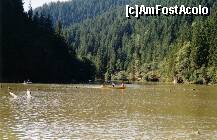 [P06] Lacul Rosu e 'rosu', mai ales in zilele insorite de vara » foto by dorgo
 - 
<span class="allrVoted glyphicon glyphicon-heart hidden" id="av201716"></span>
<a class="m-l-10 hidden" id="sv201716" onclick="voting_Foto_DelVot(,201716,3314)" role="button">șterge vot <span class="glyphicon glyphicon-remove"></span></a>
<a id="v9201716" class=" c-red"  onclick="voting_Foto_SetVot(201716)" role="button"><span class="glyphicon glyphicon-heart-empty"></span> <b>LIKE</b> = Votează poza</a> <img class="hidden"  id="f201716W9" src="/imagini/loader.gif" border="0" /><span class="AjErrMes hidden" id="e201716ErM"></span>
