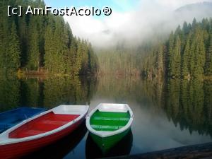 [P05] Lacul Rosu » foto by dorgo
 - 
<span class="allrVoted glyphicon glyphicon-heart hidden" id="av806676"></span>
<a class="m-l-10 hidden" id="sv806676" onclick="voting_Foto_DelVot(,806676,3314)" role="button">șterge vot <span class="glyphicon glyphicon-remove"></span></a>
<a id="v9806676" class=" c-red"  onclick="voting_Foto_SetVot(806676)" role="button"><span class="glyphicon glyphicon-heart-empty"></span> <b>LIKE</b> = Votează poza</a> <img class="hidden"  id="f806676W9" src="/imagini/loader.gif" border="0" /><span class="AjErrMes hidden" id="e806676ErM"></span>