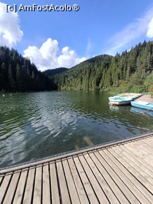 [P08]  Debarcader Lacul Roşu » foto by Michi
 - 
<span class="allrVoted glyphicon glyphicon-heart hidden" id="av1400403"></span>
<a class="m-l-10 hidden" id="sv1400403" onclick="voting_Foto_DelVot(,1400403,3314)" role="button">șterge vot <span class="glyphicon glyphicon-remove"></span></a>
<a id="v91400403" class=" c-red"  onclick="voting_Foto_SetVot(1400403)" role="button"><span class="glyphicon glyphicon-heart-empty"></span> <b>LIKE</b> = Votează poza</a> <img class="hidden"  id="f1400403W9" src="/imagini/loader.gif" border="0" /><span class="AjErrMes hidden" id="e1400403ErM"></span>