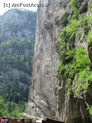 [P08] Perete vertical de stâncă - Cheile Bicazului.  » foto by tata123 🔱
 - 
<span class="allrVoted glyphicon glyphicon-heart hidden" id="av773555"></span>
<a class="m-l-10 hidden" id="sv773555" onclick="voting_Foto_DelVot(,773555,3314)" role="button">șterge vot <span class="glyphicon glyphicon-remove"></span></a>
<a id="v9773555" class=" c-red"  onclick="voting_Foto_SetVot(773555)" role="button"><span class="glyphicon glyphicon-heart-empty"></span> <b>LIKE</b> = Votează poza</a> <img class="hidden"  id="f773555W9" src="/imagini/loader.gif" border="0" /><span class="AjErrMes hidden" id="e773555ErM"></span>