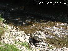 [P06] ...parca se aude cum curge... » foto by trandafir 1970*
 - 
<span class="allrVoted glyphicon glyphicon-heart hidden" id="av17590"></span>
<a class="m-l-10 hidden" id="sv17590" onclick="voting_Foto_DelVot(,17590,3315)" role="button">șterge vot <span class="glyphicon glyphicon-remove"></span></a>
<a id="v917590" class=" c-red"  onclick="voting_Foto_SetVot(17590)" role="button"><span class="glyphicon glyphicon-heart-empty"></span> <b>LIKE</b> = Votează poza</a> <img class="hidden"  id="f17590W9" src="/imagini/loader.gif" border="0" /><span class="AjErrMes hidden" id="e17590ErM"></span>