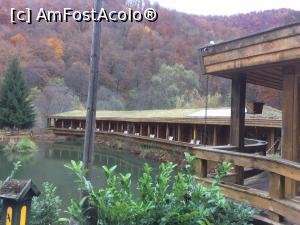 [P05] Camerele de langa lac, acoperisul de iarba » foto by Trank
 - 
<span class="allrVoted glyphicon glyphicon-heart hidden" id="av810216"></span>
<a class="m-l-10 hidden" id="sv810216" onclick="voting_Foto_DelVot(,810216,3339)" role="button">șterge vot <span class="glyphicon glyphicon-remove"></span></a>
<a id="v9810216" class=" c-red"  onclick="voting_Foto_SetVot(810216)" role="button"><span class="glyphicon glyphicon-heart-empty"></span> <b>LIKE</b> = Votează poza</a> <img class="hidden"  id="f810216W9" src="/imagini/loader.gif" border="0" /><span class="AjErrMes hidden" id="e810216ErM"></span>