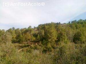 [P12] Israel - ianuarie 2016 » foto by calator2000
 - 
<span class="allrVoted glyphicon glyphicon-heart hidden" id="av708813"></span>
<a class="m-l-10 hidden" id="sv708813" onclick="voting_Foto_DelVot(,708813,3380)" role="button">șterge vot <span class="glyphicon glyphicon-remove"></span></a>
<a id="v9708813" class=" c-red"  onclick="voting_Foto_SetVot(708813)" role="button"><span class="glyphicon glyphicon-heart-empty"></span> <b>LIKE</b> = Votează poza</a> <img class="hidden"  id="f708813W9" src="/imagini/loader.gif" border="0" /><span class="AjErrMes hidden" id="e708813ErM"></span>