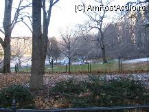 [P08] Central Park iarna » foto by Michi
 - 
<span class="allrVoted glyphicon glyphicon-heart hidden" id="av83412"></span>
<a class="m-l-10 hidden" id="sv83412" onclick="voting_Foto_DelVot(,83412,3385)" role="button">șterge vot <span class="glyphicon glyphicon-remove"></span></a>
<a id="v983412" class=" c-red"  onclick="voting_Foto_SetVot(83412)" role="button"><span class="glyphicon glyphicon-heart-empty"></span> <b>LIKE</b> = Votează poza</a> <img class="hidden"  id="f83412W9" src="/imagini/loader.gif" border="0" /><span class="AjErrMes hidden" id="e83412ErM"></span>