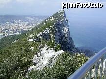 [P10] Stanca Gibraltarului semeata si dominatoare. » foto by iulianic
 - 
<span class="allrVoted glyphicon glyphicon-heart hidden" id="av226680"></span>
<a class="m-l-10 hidden" id="sv226680" onclick="voting_Foto_DelVot(,226680,3397)" role="button">șterge vot <span class="glyphicon glyphicon-remove"></span></a>
<a id="v9226680" class=" c-red"  onclick="voting_Foto_SetVot(226680)" role="button"><span class="glyphicon glyphicon-heart-empty"></span> <b>LIKE</b> = Votează poza</a> <img class="hidden"  id="f226680W9" src="/imagini/loader.gif" border="0" /><span class="AjErrMes hidden" id="e226680ErM"></span>