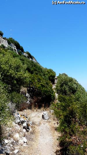 [P02] Începutul traseului pe Scările Mediteraneene » foto by iuliaen
 - 
<span class="allrVoted glyphicon glyphicon-heart hidden" id="av550443"></span>
<a class="m-l-10 hidden" id="sv550443" onclick="voting_Foto_DelVot(,550443,3397)" role="button">șterge vot <span class="glyphicon glyphicon-remove"></span></a>
<a id="v9550443" class=" c-red"  onclick="voting_Foto_SetVot(550443)" role="button"><span class="glyphicon glyphicon-heart-empty"></span> <b>LIKE</b> = Votează poza</a> <img class="hidden"  id="f550443W9" src="/imagini/loader.gif" border="0" /><span class="AjErrMes hidden" id="e550443ErM"></span>