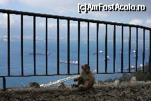 [P47]  -- <small>// FĂRĂ DESCRIERE</small> » foto by Costi
 - 
<span class="allrVoted glyphicon glyphicon-heart hidden" id="av198108"></span>
<a class="m-l-10 hidden" id="sv198108" onclick="voting_Foto_DelVot(,198108,3397)" role="button">șterge vot <span class="glyphicon glyphicon-remove"></span></a>
<a id="v9198108" class=" c-red"  onclick="voting_Foto_SetVot(198108)" role="button"><span class="glyphicon glyphicon-heart-empty"></span> <b>LIKE</b> = Votează poza</a> <img class="hidden"  id="f198108W9" src="/imagini/loader.gif" border="0" /><span class="AjErrMes hidden" id="e198108ErM"></span>