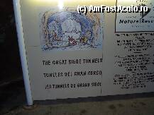 [P13x]  -- <small>// FĂRĂ DESCRIERE</small> » foto by nradu651
 - 
<span class="allrVoted glyphicon glyphicon-heart hidden" id="av18472"></span>
<a class="m-l-10 hidden" id="sv18472" onclick="voting_Foto_DelVot(,18472,3397)" role="button">șterge vot <span class="glyphicon glyphicon-remove"></span></a>
<a id="v918472" class=" c-red"  onclick="voting_Foto_SetVot(18472)" role="button"><span class="glyphicon glyphicon-heart-empty"></span> <b>LIKE</b> = Votează poza</a> <img class="hidden"  id="f18472W9" src="/imagini/loader.gif" border="0" /><span class="AjErrMes hidden" id="e18472ErM"></span>
