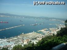 [P25] IMAGINI DE PE STANCA GIBRALTARULUI » foto by bogdan 75
 - 
<span class="allrVoted glyphicon glyphicon-heart hidden" id="av64854"></span>
<a class="m-l-10 hidden" id="sv64854" onclick="voting_Foto_DelVot(,64854,3397)" role="button">șterge vot <span class="glyphicon glyphicon-remove"></span></a>
<a id="v964854" class=" c-red"  onclick="voting_Foto_SetVot(64854)" role="button"><span class="glyphicon glyphicon-heart-empty"></span> <b>LIKE</b> = Votează poza</a> <img class="hidden"  id="f64854W9" src="/imagini/loader.gif" border="0" /><span class="AjErrMes hidden" id="e64854ErM"></span>