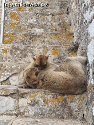 [P23]  -- <small>// FĂRĂ DESCRIERE</small> » foto by Maya_C
 - 
<span class="allrVoted glyphicon glyphicon-heart hidden" id="av1507251"></span>
<a class="m-l-10 hidden" id="sv1507251" onclick="voting_Foto_DelVot(,1507251,3397)" role="button">șterge vot <span class="glyphicon glyphicon-remove"></span></a>
<a id="v91507251" class=" c-red"  onclick="voting_Foto_SetVot(1507251)" role="button"><span class="glyphicon glyphicon-heart-empty"></span> <b>LIKE</b> = Votează poza</a> <img class="hidden"  id="f1507251W9" src="/imagini/loader.gif" border="0" /><span class="AjErrMes hidden" id="e1507251ErM"></span>