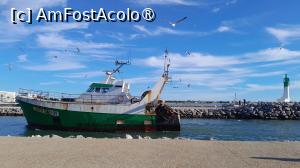 [P43] Le Grau du Roi, vasele de pescuit se întorc » foto by Yolanda
 - 
<span class="allrVoted glyphicon glyphicon-heart hidden" id="av1503394"></span>
<a class="m-l-10 hidden" id="sv1503394" onclick="voting_Foto_DelVot(,1503394,3404)" role="button">șterge vot <span class="glyphicon glyphicon-remove"></span></a>
<a id="v91503394" class=" c-red"  onclick="voting_Foto_SetVot(1503394)" role="button"><span class="glyphicon glyphicon-heart-empty"></span> <b>LIKE</b> = Votează poza</a> <img class="hidden"  id="f1503394W9" src="/imagini/loader.gif" border="0" /><span class="AjErrMes hidden" id="e1503394ErM"></span>