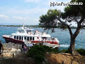 P10 [AUG-2012] 10. Dearcaderul de pe insula Saint Honorat