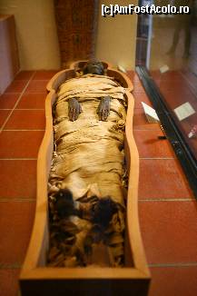 [P48]  -- <small>// FĂRĂ DESCRIERE</small> » foto by presario
 - 
<span class="allrVoted glyphicon glyphicon-heart hidden" id="av44558"></span>
<a class="m-l-10 hidden" id="sv44558" onclick="voting_Foto_DelVot(,44558,3406)" role="button">șterge vot <span class="glyphicon glyphicon-remove"></span></a>
<a id="v944558" class=" c-red"  onclick="voting_Foto_SetVot(44558)" role="button"><span class="glyphicon glyphicon-heart-empty"></span> <b>LIKE</b> = Votează poza</a> <img class="hidden"  id="f44558W9" src="/imagini/loader.gif" border="0" /><span class="AjErrMes hidden" id="e44558ErM"></span>