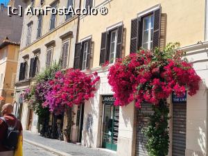 [P01] Străduță cu taverne din Roma » foto by AncaBv
 - 
<span class="allrVoted glyphicon glyphicon-heart hidden" id="av1429479"></span>
<a class="m-l-10 hidden" id="sv1429479" onclick="voting_Foto_DelVot(,1429479,3406)" role="button">șterge vot <span class="glyphicon glyphicon-remove"></span></a>
<a id="v91429479" class=" c-red"  onclick="voting_Foto_SetVot(1429479)" role="button"><span class="glyphicon glyphicon-heart-empty"></span> <b>LIKE</b> = Votează poza</a> <img class="hidden"  id="f1429479W9" src="/imagini/loader.gif" border="0" /><span class="AjErrMes hidden" id="e1429479ErM"></span>