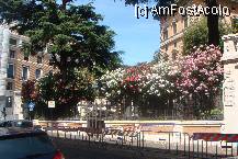 [P24]  -- <small>// FĂRĂ DESCRIERE</small> » foto by guesswhoo*
 - 
<span class="allrVoted glyphicon glyphicon-heart hidden" id="av238907"></span>
<a class="m-l-10 hidden" id="sv238907" onclick="voting_Foto_DelVot(,238907,3406)" role="button">șterge vot <span class="glyphicon glyphicon-remove"></span></a>
<a id="v9238907" class=" c-red"  onclick="voting_Foto_SetVot(238907)" role="button"><span class="glyphicon glyphicon-heart-empty"></span> <b>LIKE</b> = Votează poza</a> <img class="hidden"  id="f238907W9" src="/imagini/loader.gif" border="0" /><span class="AjErrMes hidden" id="e238907ErM"></span>