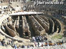 [P09] Coloseum...Maretie si istorie... » foto by marcemicu
 - 
<span class="allrVoted glyphicon glyphicon-heart hidden" id="av277113"></span>
<a class="m-l-10 hidden" id="sv277113" onclick="voting_Foto_DelVot(,277113,3406)" role="button">șterge vot <span class="glyphicon glyphicon-remove"></span></a>
<a id="v9277113" class=" c-red"  onclick="voting_Foto_SetVot(277113)" role="button"><span class="glyphicon glyphicon-heart-empty"></span> <b>LIKE</b> = Votează poza</a> <img class="hidden"  id="f277113W9" src="/imagini/loader.gif" border="0" /><span class="AjErrMes hidden" id="e277113ErM"></span>