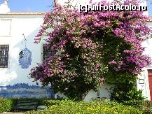 [P18] Miradouro de Santa Luzia -gradina si biserica in spate » foto by mireille
 - 
<span class="allrVoted glyphicon glyphicon-heart hidden" id="av457199"></span>
<a class="m-l-10 hidden" id="sv457199" onclick="voting_Foto_DelVot(,457199,3414)" role="button">șterge vot <span class="glyphicon glyphicon-remove"></span></a>
<a id="v9457199" class=" c-red"  onclick="voting_Foto_SetVot(457199)" role="button"><span class="glyphicon glyphicon-heart-empty"></span> <b>LIKE</b> = Votează poza</a> <img class="hidden"  id="f457199W9" src="/imagini/loader.gif" border="0" /><span class="AjErrMes hidden" id="e457199ErM"></span>