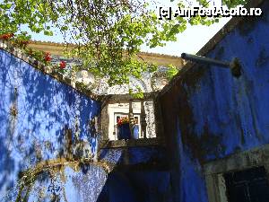 [P15] tragem cu ochiul spre terasa unica... greu ce pacat ca nu ma lasa sa urc » foto by mireille
 - 
<span class="allrVoted glyphicon glyphicon-heart hidden" id="av486837"></span>
<a class="m-l-10 hidden" id="sv486837" onclick="voting_Foto_DelVot(,486837,3414)" role="button">șterge vot <span class="glyphicon glyphicon-remove"></span></a>
<a id="v9486837" class=" c-red"  onclick="voting_Foto_SetVot(486837)" role="button"><span class="glyphicon glyphicon-heart-empty"></span> <b>LIKE</b> = Votează poza</a> <img class="hidden"  id="f486837W9" src="/imagini/loader.gif" border="0" /><span class="AjErrMes hidden" id="e486837ErM"></span>
