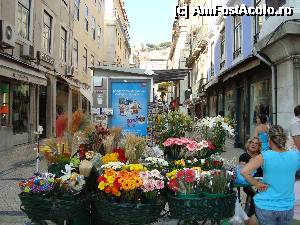 [P14] Baixa -florarese ce dau culoare strazii si asteapta clientii » foto by mireille
 - 
<span class="allrVoted glyphicon glyphicon-heart hidden" id="av496726"></span>
<a class="m-l-10 hidden" id="sv496726" onclick="voting_Foto_DelVot(,496726,3414)" role="button">șterge vot <span class="glyphicon glyphicon-remove"></span></a>
<a id="v9496726" class=" c-red"  onclick="voting_Foto_SetVot(496726)" role="button"><span class="glyphicon glyphicon-heart-empty"></span> <b>LIKE</b> = Votează poza</a> <img class="hidden"  id="f496726W9" src="/imagini/loader.gif" border="0" /><span class="AjErrMes hidden" id="e496726ErM"></span>
