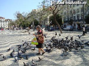[P08] Piata Rossio si porumbeii la ora micului dejun » foto by mireille
 - 
<span class="allrVoted glyphicon glyphicon-heart hidden" id="av496718"></span>
<a class="m-l-10 hidden" id="sv496718" onclick="voting_Foto_DelVot(,496718,3414)" role="button">șterge vot <span class="glyphicon glyphicon-remove"></span></a>
<a id="v9496718" class=" c-red"  onclick="voting_Foto_SetVot(496718)" role="button"><span class="glyphicon glyphicon-heart-empty"></span> <b>LIKE</b> = Votează poza</a> <img class="hidden"  id="f496718W9" src="/imagini/loader.gif" border="0" /><span class="AjErrMes hidden" id="e496718ErM"></span>