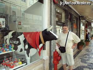 [P06] Rua Augusta - foarte haios!  » foto by Carmen Ion
 - 
<span class="allrVoted glyphicon glyphicon-heart hidden" id="av513033"></span>
<a class="m-l-10 hidden" id="sv513033" onclick="voting_Foto_DelVot(,513033,3414)" role="button">șterge vot <span class="glyphicon glyphicon-remove"></span></a>
<a id="v9513033" class=" c-red"  onclick="voting_Foto_SetVot(513033)" role="button"><span class="glyphicon glyphicon-heart-empty"></span> <b>LIKE</b> = Votează poza</a> <img class="hidden"  id="f513033W9" src="/imagini/loader.gif" border="0" /><span class="AjErrMes hidden" id="e513033ErM"></span>