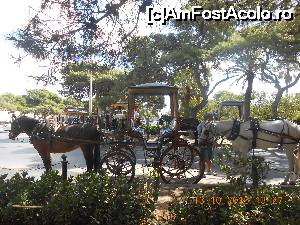 [P25] Trăsuri ce așteaptă în fața porții de intrare în Mdina.  » foto by Rodel
 - 
<span class="allrVoted glyphicon glyphicon-heart hidden" id="av693189"></span>
<a class="m-l-10 hidden" id="sv693189" onclick="voting_Foto_DelVot(,693189,3421)" role="button">șterge vot <span class="glyphicon glyphicon-remove"></span></a>
<a id="v9693189" class=" c-red"  onclick="voting_Foto_SetVot(693189)" role="button"><span class="glyphicon glyphicon-heart-empty"></span> <b>LIKE</b> = Votează poza</a> <img class="hidden"  id="f693189W9" src="/imagini/loader.gif" border="0" /><span class="AjErrMes hidden" id="e693189ErM"></span>