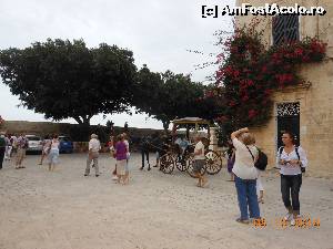 [P25] Mdina - Lângă zidurile fortificate ale oraşului.  » foto by iulianic
 - 
<span class="allrVoted glyphicon glyphicon-heart hidden" id="av578791"></span>
<a class="m-l-10 hidden" id="sv578791" onclick="voting_Foto_DelVot(,578791,3421)" role="button">șterge vot <span class="glyphicon glyphicon-remove"></span></a>
<a id="v9578791" class=" c-red"  onclick="voting_Foto_SetVot(578791)" role="button"><span class="glyphicon glyphicon-heart-empty"></span> <b>LIKE</b> = Votează poza</a> <img class="hidden"  id="f578791W9" src="/imagini/loader.gif" border="0" /><span class="AjErrMes hidden" id="e578791ErM"></span>