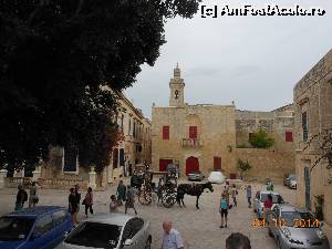 [P27] Mdina - Lângă zidurile fortificate.  » foto by iulianic
 - 
<span class="allrVoted glyphicon glyphicon-heart hidden" id="av578794"></span>
<a class="m-l-10 hidden" id="sv578794" onclick="voting_Foto_DelVot(,578794,3421)" role="button">șterge vot <span class="glyphicon glyphicon-remove"></span></a>
<a id="v9578794" class=" c-red"  onclick="voting_Foto_SetVot(578794)" role="button"><span class="glyphicon glyphicon-heart-empty"></span> <b>LIKE</b> = Votează poza</a> <img class="hidden"  id="f578794W9" src="/imagini/loader.gif" border="0" /><span class="AjErrMes hidden" id="e578794ErM"></span>