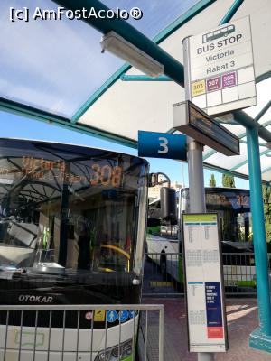 [P23] Asteptand autobuzul in capitala » foto by Nicu
 - 
<span class="allrVoted glyphicon glyphicon-heart hidden" id="av1140625"></span>
<a class="m-l-10 hidden" id="sv1140625" onclick="voting_Foto_DelVot(,1140625,3422)" role="button">șterge vot <span class="glyphicon glyphicon-remove"></span></a>
<a id="v91140625" class=" c-red"  onclick="voting_Foto_SetVot(1140625)" role="button"><span class="glyphicon glyphicon-heart-empty"></span> <b>LIKE</b> = Votează poza</a> <img class="hidden"  id="f1140625W9" src="/imagini/loader.gif" border="0" /><span class="AjErrMes hidden" id="e1140625ErM"></span>