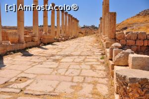 [P26] 'the south decumanus'strada pavata care traverseaza si intersecteaza 'cardo' » foto by alunelu69
 - 
<span class="allrVoted glyphicon glyphicon-heart hidden" id="av959738"></span>
<a class="m-l-10 hidden" id="sv959738" onclick="voting_Foto_DelVot(,959738,3439)" role="button">șterge vot <span class="glyphicon glyphicon-remove"></span></a>
<a id="v9959738" class=" c-red"  onclick="voting_Foto_SetVot(959738)" role="button"><span class="glyphicon glyphicon-heart-empty"></span> <b>LIKE</b> = Votează poza</a> <img class="hidden"  id="f959738W9" src="/imagini/loader.gif" border="0" /><span class="AjErrMes hidden" id="e959738ErM"></span>