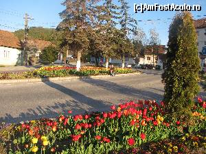 [P24] Lalelele, simbol al zonei, apar stilizate pe portile secuiesti, ceramica de Corund, cusaturi, etc » foto by PPP974273
 - 
<span class="allrVoted glyphicon glyphicon-heart hidden" id="av506715"></span>
<a class="m-l-10 hidden" id="sv506715" onclick="voting_Foto_DelVot(,506715,3441)" role="button">șterge vot <span class="glyphicon glyphicon-remove"></span></a>
<a id="v9506715" class=" c-red"  onclick="voting_Foto_SetVot(506715)" role="button"><span class="glyphicon glyphicon-heart-empty"></span> <b>LIKE</b> = Votează poza</a> <img class="hidden"  id="f506715W9" src="/imagini/loader.gif" border="0" /><span class="AjErrMes hidden" id="e506715ErM"></span>