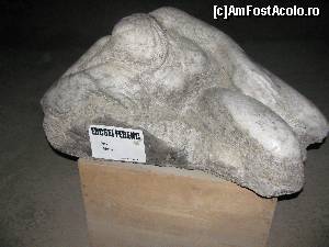 [P34] Titlul operelor ne este de ajutor.  » foto by PPP974273
 - 
<span class="allrVoted glyphicon glyphicon-heart hidden" id="av506725"></span>
<a class="m-l-10 hidden" id="sv506725" onclick="voting_Foto_DelVot(,506725,3441)" role="button">șterge vot <span class="glyphicon glyphicon-remove"></span></a>
<a id="v9506725" class=" c-red"  onclick="voting_Foto_SetVot(506725)" role="button"><span class="glyphicon glyphicon-heart-empty"></span> <b>LIKE</b> = Votează poza</a> <img class="hidden"  id="f506725W9" src="/imagini/loader.gif" border="0" /><span class="AjErrMes hidden" id="e506725ErM"></span>