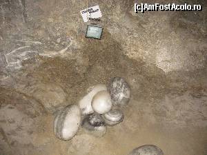 [P37]  -- <small>// FĂRĂ DESCRIERE</small> » foto by PPP974273
 - 
<span class="allrVoted glyphicon glyphicon-heart hidden" id="av506728"></span>
<a class="m-l-10 hidden" id="sv506728" onclick="voting_Foto_DelVot(,506728,3441)" role="button">șterge vot <span class="glyphicon glyphicon-remove"></span></a>
<a id="v9506728" class=" c-red"  onclick="voting_Foto_SetVot(506728)" role="button"><span class="glyphicon glyphicon-heart-empty"></span> <b>LIKE</b> = Votează poza</a> <img class="hidden"  id="f506728W9" src="/imagini/loader.gif" border="0" /><span class="AjErrMes hidden" id="e506728ErM"></span>