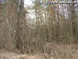 [P02] Natura 'striga' dupa ajutorul omului, dar acesta nu o aude!  » foto by PPP974273
 - 
<span class="allrVoted glyphicon glyphicon-heart hidden" id="av611982"></span>
<a class="m-l-10 hidden" id="sv611982" onclick="voting_Foto_DelVot(,611982,3441)" role="button">șterge vot <span class="glyphicon glyphicon-remove"></span></a>
<a id="v9611982" class=" c-red"  onclick="voting_Foto_SetVot(611982)" role="button"><span class="glyphicon glyphicon-heart-empty"></span> <b>LIKE</b> = Votează poza</a> <img class="hidden"  id="f611982W9" src="/imagini/loader.gif" border="0" /><span class="AjErrMes hidden" id="e611982ErM"></span>