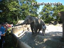 [P9x] Aici puteai -si chiar erai incurajat- sa hranesti animalele » foto by lizuk
 - 
<span class="allrVoted glyphicon glyphicon-heart hidden" id="av23976"></span>
<a class="m-l-10 hidden" id="sv23976" onclick="voting_Foto_DelVot(,23976,3449)" role="button">șterge vot <span class="glyphicon glyphicon-remove"></span></a>
<a id="v923976" class=" c-red"  onclick="voting_Foto_SetVot(23976)" role="button"><span class="glyphicon glyphicon-heart-empty"></span> <b>LIKE</b> = Votează poza</a> <img class="hidden"  id="f23976W9" src="/imagini/loader.gif" border="0" /><span class="AjErrMes hidden" id="e23976ErM"></span>