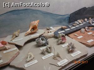 [P21] Natural History Museum » foto by narcisa
 - 
<span class="allrVoted glyphicon glyphicon-heart hidden" id="av853266"></span>
<a class="m-l-10 hidden" id="sv853266" onclick="voting_Foto_DelVot(,853266,3459)" role="button">șterge vot <span class="glyphicon glyphicon-remove"></span></a>
<a id="v9853266" class=" c-red"  onclick="voting_Foto_SetVot(853266)" role="button"><span class="glyphicon glyphicon-heart-empty"></span> <b>LIKE</b> = Votează poza</a> <img class="hidden"  id="f853266W9" src="/imagini/loader.gif" border="0" /><span class="AjErrMes hidden" id="e853266ErM"></span>