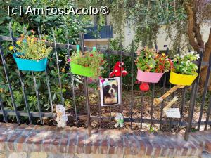 [P32] La pas prin Cannes; în memoria unui prieten iubit... » foto by crismis
 - 
<span class="allrVoted glyphicon glyphicon-heart hidden" id="av1522213"></span>
<a class="m-l-10 hidden" id="sv1522213" onclick="voting_Foto_DelVot(,1522213,3467)" role="button">șterge vot <span class="glyphicon glyphicon-remove"></span></a>
<a id="v91522213" class=" c-red"  onclick="voting_Foto_SetVot(1522213)" role="button"><span class="glyphicon glyphicon-heart-empty"></span> <b>LIKE</b> = Votează poza</a> <img class="hidden"  id="f1522213W9" src="/imagini/loader.gif" border="0" /><span class="AjErrMes hidden" id="e1522213ErM"></span>