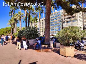 [P41] La pas prin Cannes » foto by crismis
 - 
<span class="allrVoted glyphicon glyphicon-heart hidden" id="av1522222"></span>
<a class="m-l-10 hidden" id="sv1522222" onclick="voting_Foto_DelVot(,1522222,3467)" role="button">șterge vot <span class="glyphicon glyphicon-remove"></span></a>
<a id="v91522222" class=" c-red"  onclick="voting_Foto_SetVot(1522222)" role="button"><span class="glyphicon glyphicon-heart-empty"></span> <b>LIKE</b> = Votează poza</a> <img class="hidden"  id="f1522222W9" src="/imagini/loader.gif" border="0" /><span class="AjErrMes hidden" id="e1522222ErM"></span>