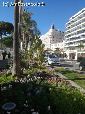 [P33] Promenade de la Croisette, Cannes » foto by krondia*
 - 
<span class="allrVoted glyphicon glyphicon-heart hidden" id="av1055120"></span>
<a class="m-l-10 hidden" id="sv1055120" onclick="voting_Foto_DelVot(,1055120,3467)" role="button">șterge vot <span class="glyphicon glyphicon-remove"></span></a>
<a id="v91055120" class=" c-red"  onclick="voting_Foto_SetVot(1055120)" role="button"><span class="glyphicon glyphicon-heart-empty"></span> <b>LIKE</b> = Votează poza</a> <img class="hidden"  id="f1055120W9" src="/imagini/loader.gif" border="0" /><span class="AjErrMes hidden" id="e1055120ErM"></span>