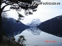 [P31]  -- <small>// FĂRĂ DESCRIERE</small> » foto by valentinavaju
 - 
<span class="allrVoted glyphicon glyphicon-heart hidden" id="av193261"></span>
<a class="m-l-10 hidden" id="sv193261" onclick="voting_Foto_DelVot(,193261,3499)" role="button">șterge vot <span class="glyphicon glyphicon-remove"></span></a>
<a id="v9193261" class=" c-red"  onclick="voting_Foto_SetVot(193261)" role="button"><span class="glyphicon glyphicon-heart-empty"></span> <b>LIKE</b> = Votează poza</a> <img class="hidden"  id="f193261W9" src="/imagini/loader.gif" border="0" /><span class="AjErrMes hidden" id="e193261ErM"></span>
