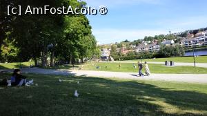 [P61]  -- <small>// FĂRĂ DESCRIERE</small> » foto by elenaadina
 - 
<span class="allrVoted glyphicon glyphicon-heart hidden" id="av1513134"></span>
<a class="m-l-10 hidden" id="sv1513134" onclick="voting_Foto_DelVot(,1513134,3499)" role="button">șterge vot <span class="glyphicon glyphicon-remove"></span></a>
<a id="v91513134" class=" c-red"  onclick="voting_Foto_SetVot(1513134)" role="button"><span class="glyphicon glyphicon-heart-empty"></span> <b>LIKE</b> = Votează poza</a> <img class="hidden"  id="f1513134W9" src="/imagini/loader.gif" border="0" /><span class="AjErrMes hidden" id="e1513134ErM"></span>